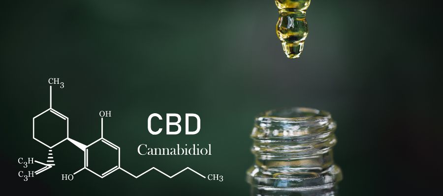 Frasco de óleo de CBD medicinal com fundo natural, destacando benefícios terapêuticos.